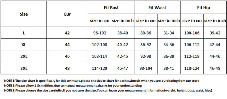 Ruffled Plus Size One-Piece Swimsuit