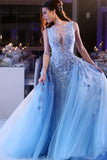 Sky Blue Tulle Sleeveless Scoop Applique Long Prom Dress OK1304