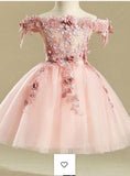 Pink Embroidery Flower Girl Dress,Tulle Short Girl Dresses OKJ25