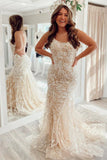 Mermaid Backless Lace Long Prom Dress Formal Evening Dresses OK1999