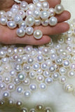 AAAA 11-12mm Cake Shape freshwater Loose Pearl P35