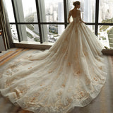 3/4 Sleeve Lace Appliques Tulle Ball Gowns Plus Size Wedding Dress OK639