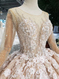 Princess Long Sleeves Ball Gown Wedding Dress, Floral Appliques Wedding Gown OKJ95