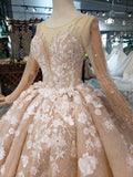 Princess Long Sleeves Ball Gown Wedding Dress, Floral Appliques Wedding Gown OKJ95