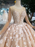 Princess Long Sleeves Ball Gown Wedding Dress, Floral Appliques Wedding Gown OKJ95