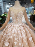 Princess Long Sleeves Ball Gown Wedding Dress, Floral Appliques Wedding Gown OKJ95