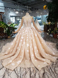 Princess Long Sleeves Ball Gown Wedding Dress, Floral Appliques Wedding Gown OKJ95