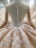 Princess Long Sleeves Ball Gown Wedding Dress, Floral Appliques Wedding Gown OKJ95