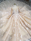 Princess Long Sleeves Ball Gown Wedding Dress, Floral Appliques Wedding Gown OKJ95