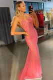 Elegant Lace Mermaid Long Prom Dress Tulle Formal Evening Dress With Appliques OK1634