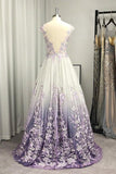 A-line Princess V-neck Tulle Applique Sleeveless Floor-Length V Back Prom Dress OKX21