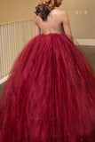 Princess Ball Gown High Neck Backless Burgundy Tulle Long Prom Dresses OK604