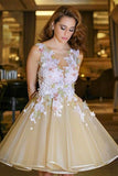 A-Line Scoop Backless Short Sleeveless Organza Homecoming Dresses with Appliques OK228